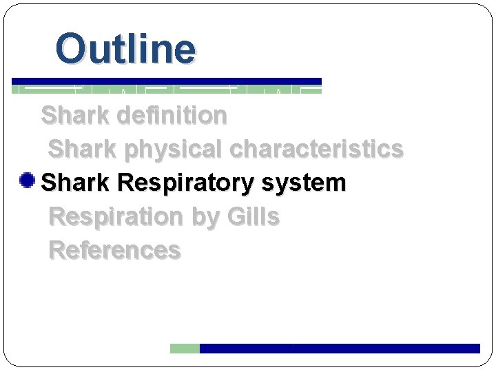 Outline Shark definition Shark physical characteristics Shark Respiratory system Respiration by Gills References 