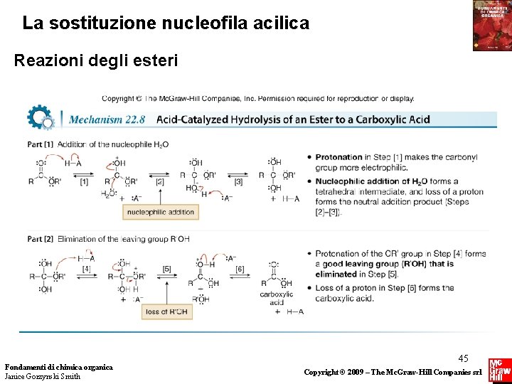 La sostituzione nucleofila acilica Reazioni degli esteri Fondamenti di chimica organica Janice Gorzynski Smith La sostituzione nucleofila acilica Reazioni degli esteri Fondamenti di chimica organica Janice Gorzynski Smith