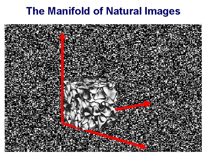 The Manifold of Natural Images 