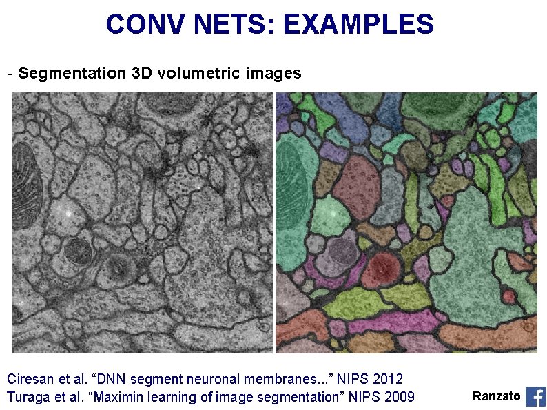 CONV NETS: EXAMPLES - Segmentation 3 D volumetric images Ciresan et al. “DNN segment