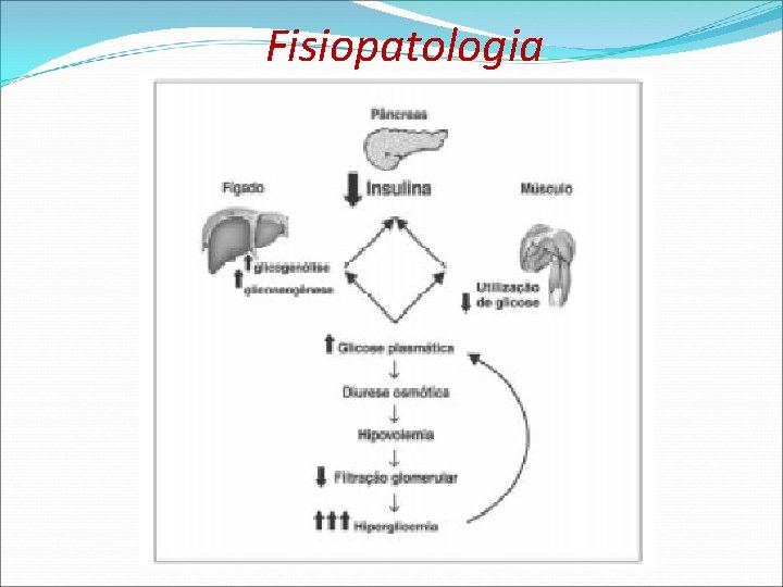 Fisiopatologia Fisiopatologia