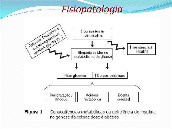 Fisiopatologia Fisiopatologia