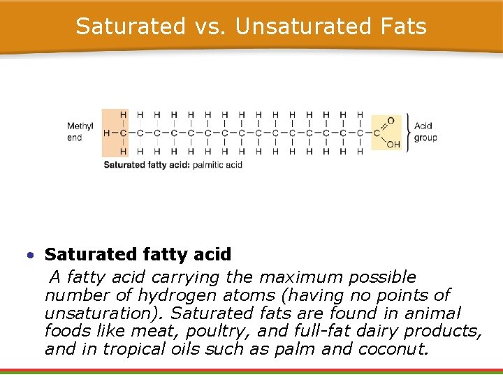 Saturated vs. Unsaturated Fats • Saturated fatty acid A fatty acid carrying the maximum