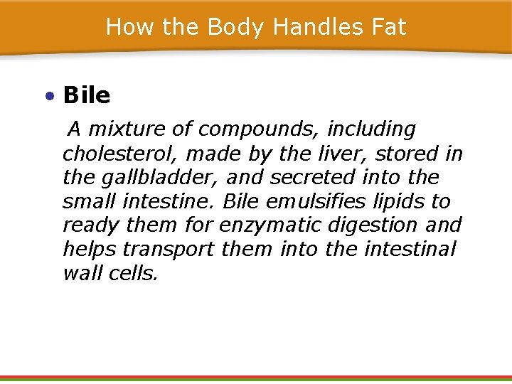 How the Body Handles Fat • Bile A mixture of compounds, including cholesterol, made