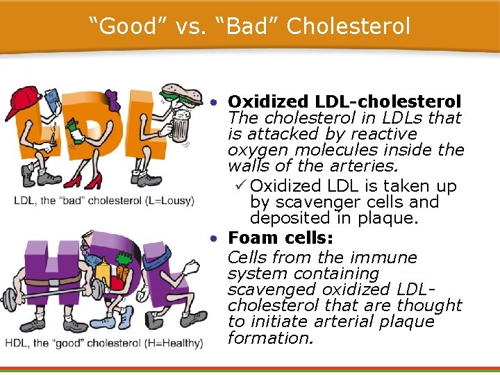 “Good” vs. “Bad” Cholesterol • Oxidized LDL-cholesterol The cholesterol in LDLs that is attacked