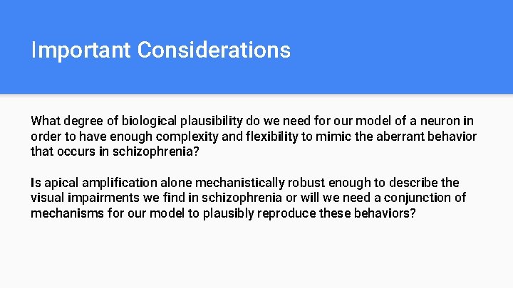 Important Considerations What degree of biological plausibility do we need for our model of