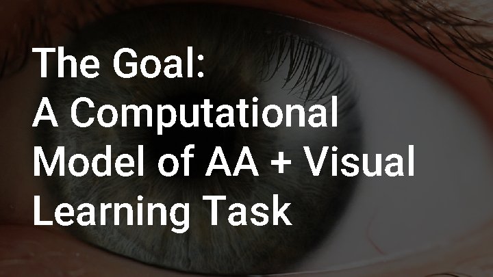 The Goal: A Computational Model of AA + Visual Learning Task 