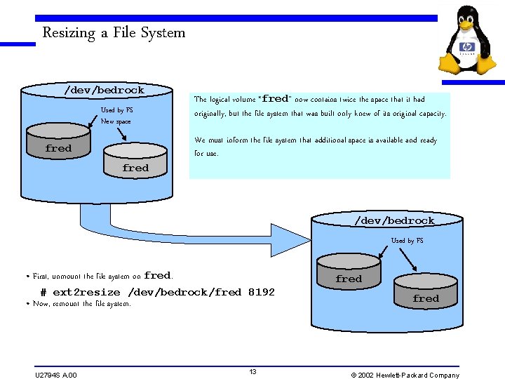 Resizing a File System /dev/bedrock Used by FS New space fred The logical volume