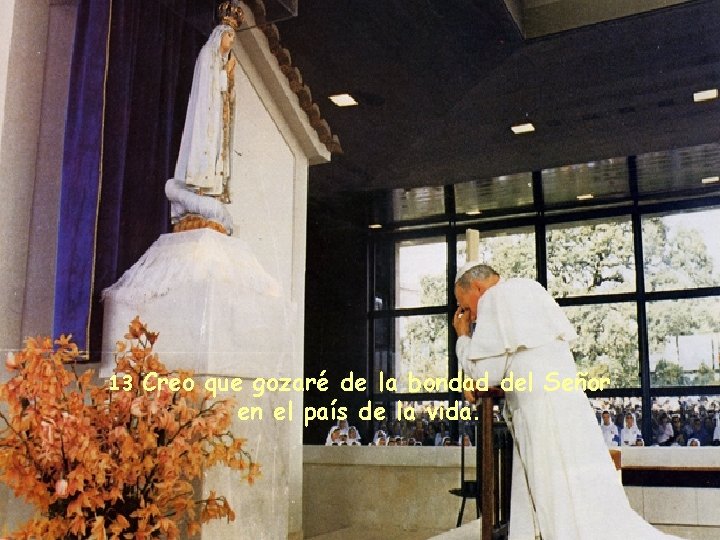 13 Creo que gozaré de la bondad del Señor en el país de la