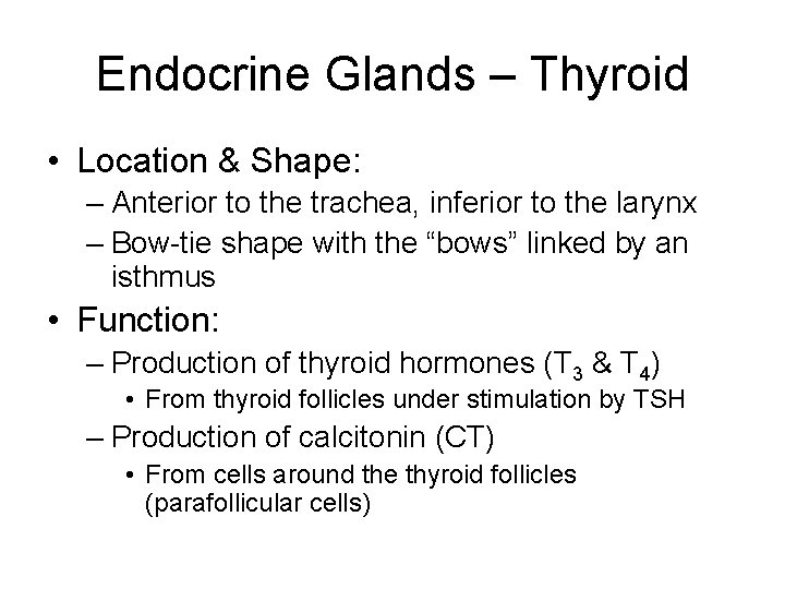 Endocrine Glands – Thyroid • Location & Shape: – Anterior to the trachea, inferior