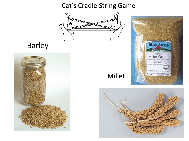 Cat’s Cradle String Game Barley Millet 