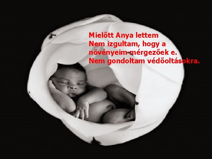 Mielőtt Anya lettem Nem izgultam, hogy a növényeim mérgezőek e. Nem gondoltam védőoltásokra. 