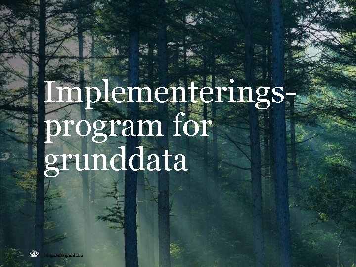 Implementeringsprogram for grunddata Geografiske grunddata 11 