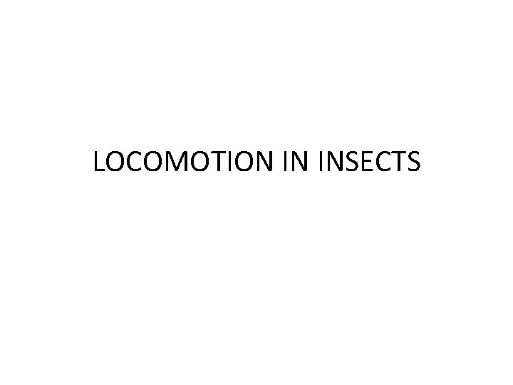 LOCOMOTION IN INSECTS 