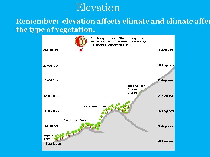 Elevation Remember: elevation affects climate and climate affec the type of vegetation. 