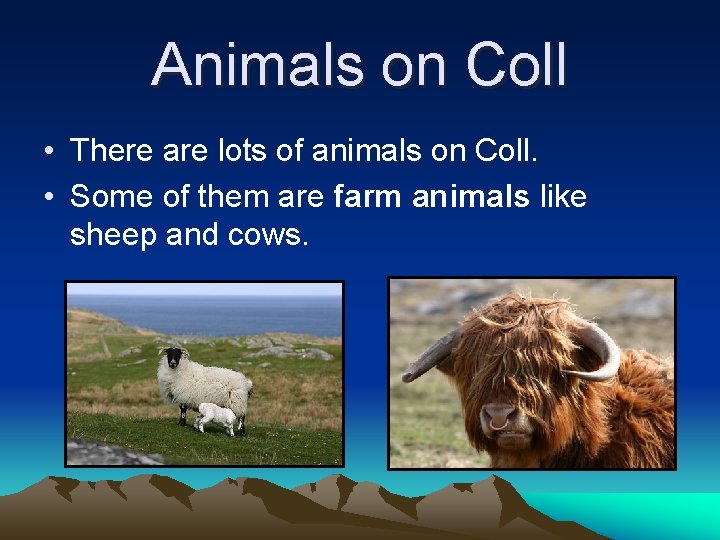 Animals on Coll • There are lots of animals on Coll. • Some of Animals on Coll • There are lots of animals on Coll. • Some of