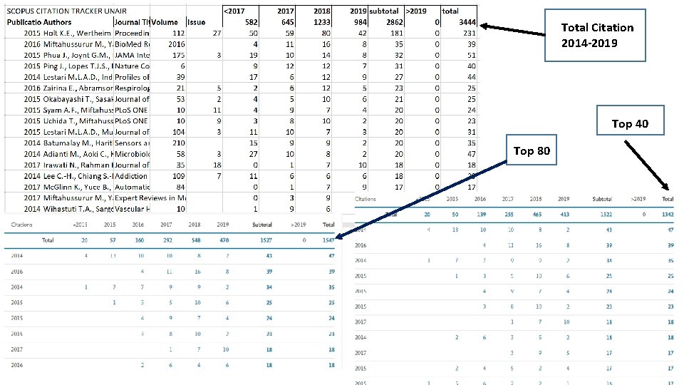 Total Citation 2014 -2019 Top 40 Top 80 