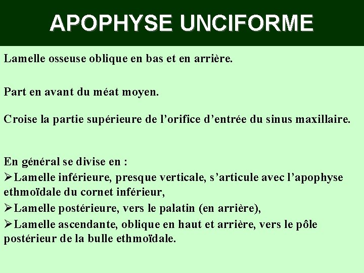 APOPHYSE UNCIFORME Lamelle osseuse oblique en bas et en arrière. Part en avant du