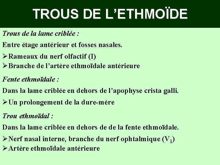 TROUS DE L’ETHMOÏDE Trous de la lame criblée : Entre étage antérieur et fosses