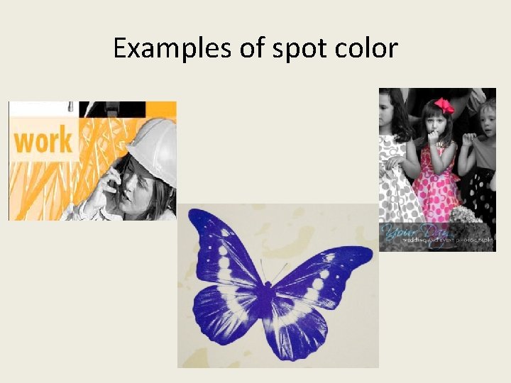 Examples of spot color 