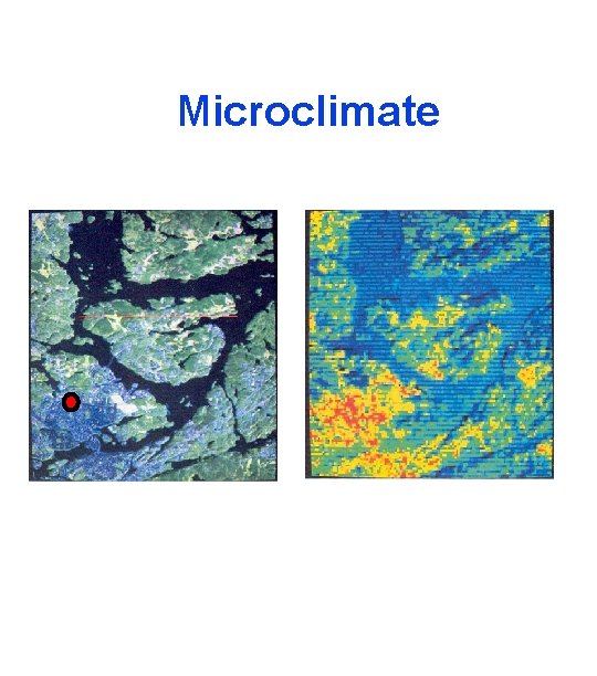 Microclimate 