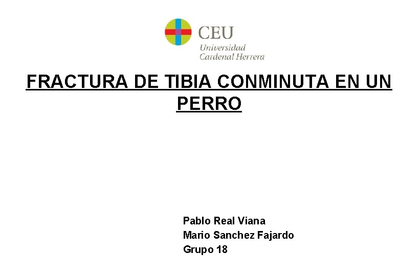 FRACTURA DE TIBIA CONMINUTA EN UN PERRO Pablo Real Viana Mario Sanchez Fajardo Grupo