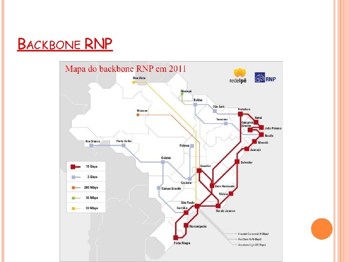 BACKBONE RNP 