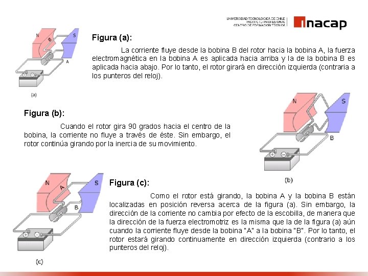 Figura (a): La corriente fluye desde la bobina B del rotor hacia la bobina