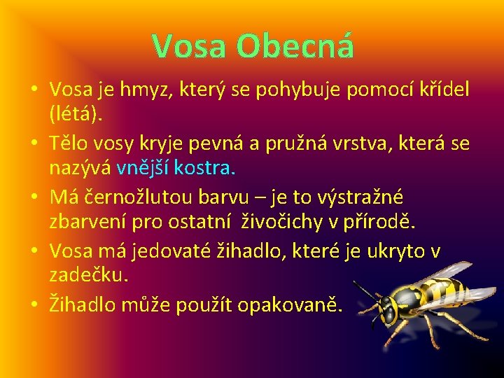 Vosa Obecná • Vosa je hmyz, který se pohybuje pomocí křídel (létá). • Tělo