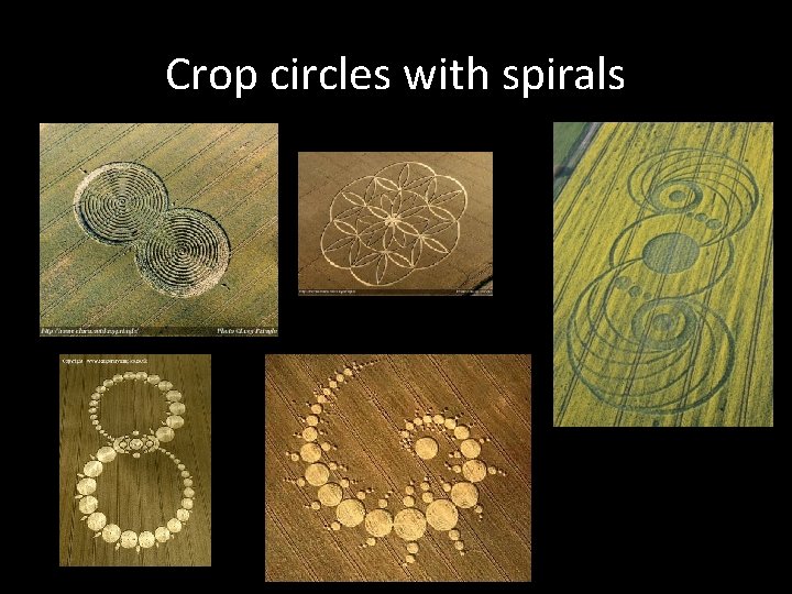 Crop circles with spirals 