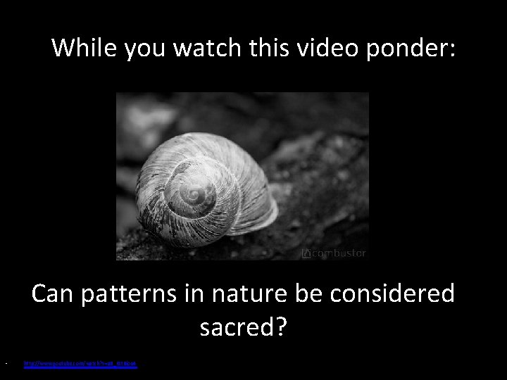 While you watch this video ponder: Can patterns in nature be considered sacred? •