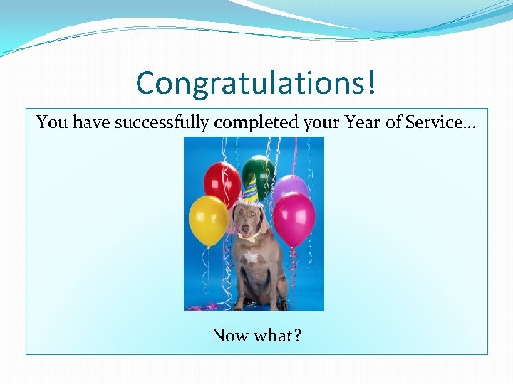 Congratulations! You have successfully completed your Year of Service… Now what? 