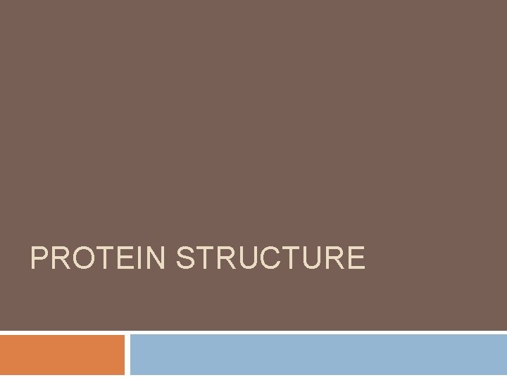 PROTEIN STRUCTURE 