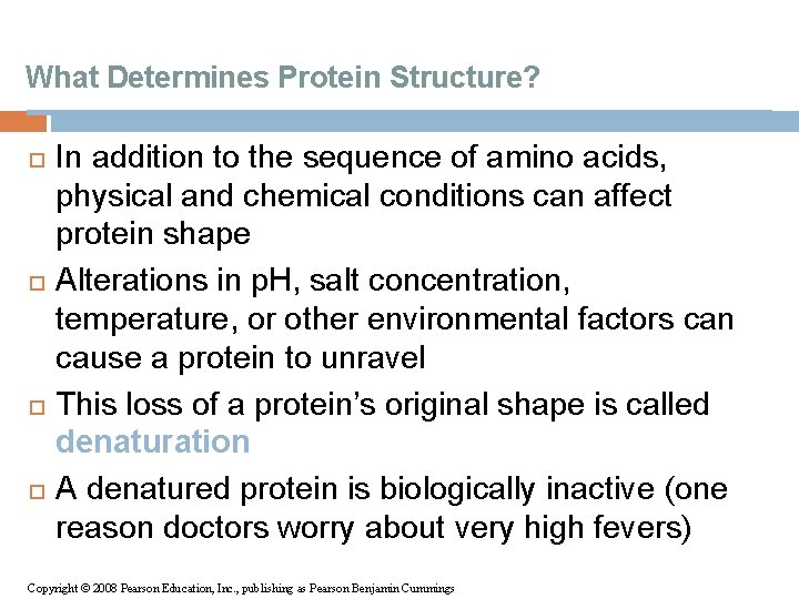 What Determines Protein Structure? In addition to the sequence of amino acids, physical and