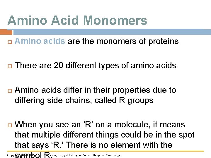 Amino Acid Monomers Amino acids are the monomers of proteins There are 20 different