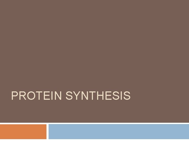 PROTEIN SYNTHESIS 