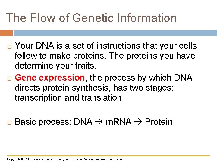 The Flow of Genetic Information Your DNA is a set of instructions that your