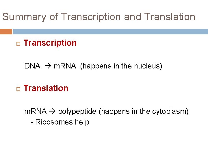 Summary of Transcription and Translation Transcription DNA m. RNA (happens in the nucleus) Translation