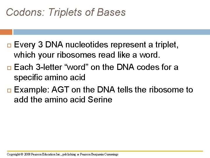 Codons: Triplets of Bases Every 3 DNA nucleotides represent a triplet, which your ribosomes