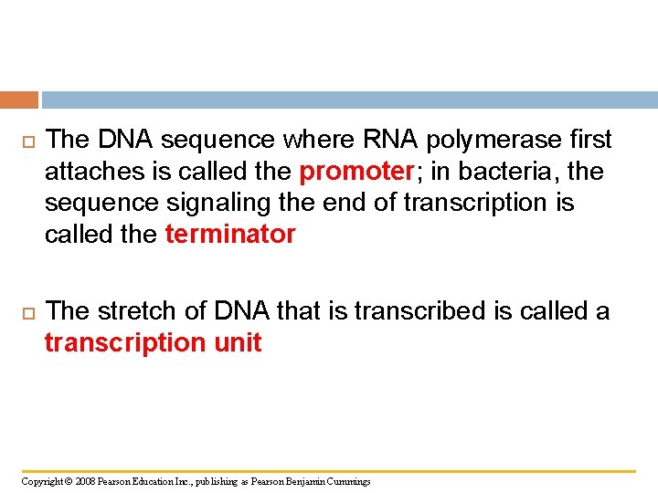  The DNA sequence where RNA polymerase first attaches is called the promoter; in