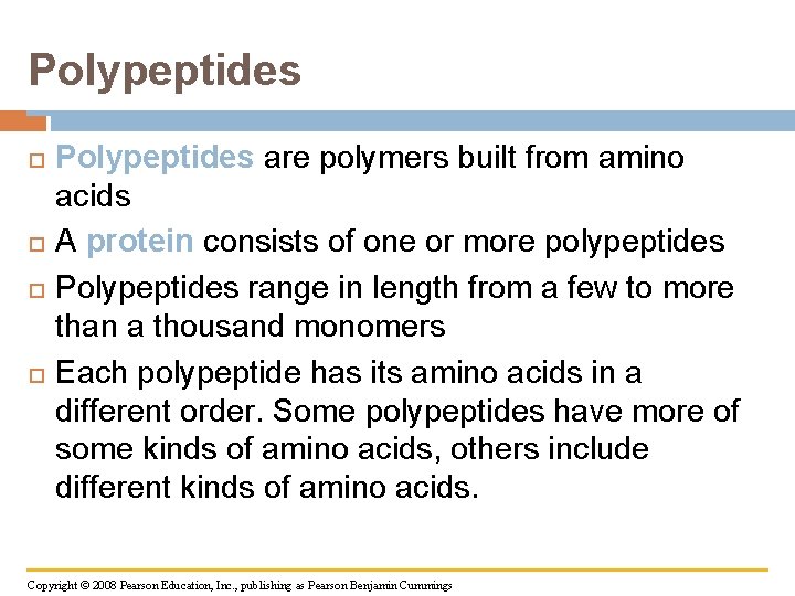 Polypeptides are polymers built from amino acids A protein consists of one or more