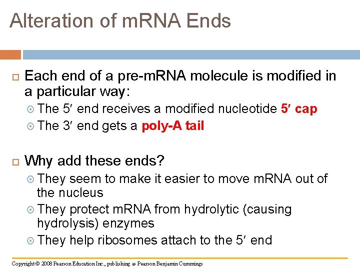 Alteration of m. RNA Ends Each end of a pre-m. RNA molecule is modified