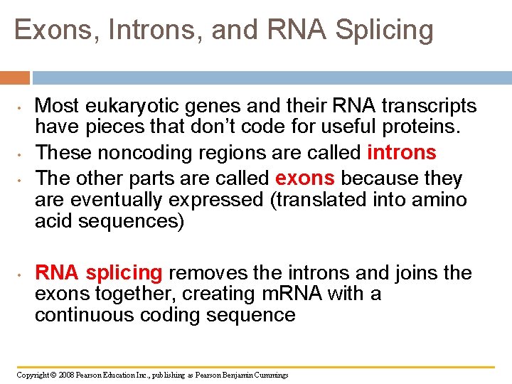 Exons, Introns, and RNA Splicing • • Most eukaryotic genes and their RNA transcripts