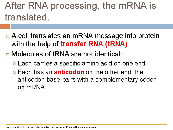 After RNA processing, the m. RNA is translated. A cell translates an m. RNA
