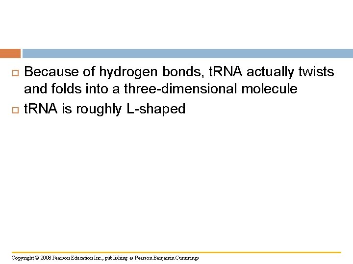  Because of hydrogen bonds, t. RNA actually twists and folds into a three-dimensional