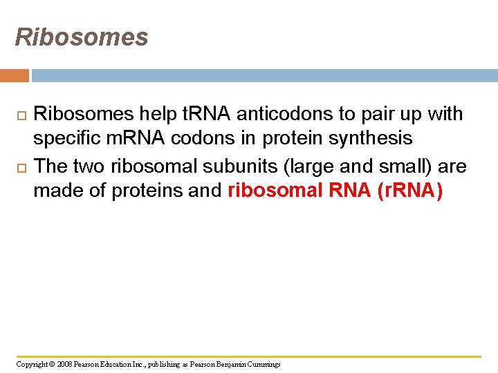 Ribosomes help t. RNA anticodons to pair up with specific m. RNA codons in