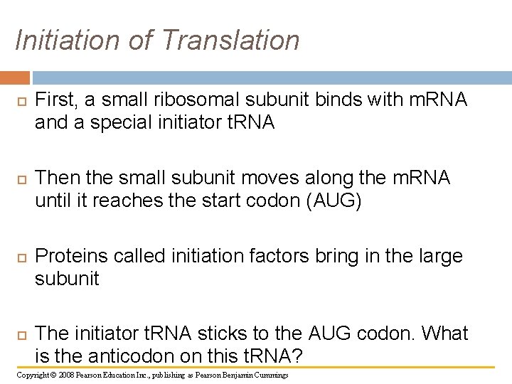 Initiation of Translation First, a small ribosomal subunit binds with m. RNA and a