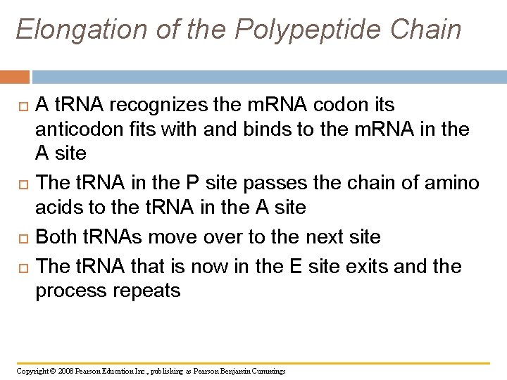 Elongation of the Polypeptide Chain A t. RNA recognizes the m. RNA codon its