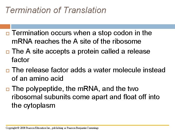 Termination of Translation Termination occurs when a stop codon in the m. RNA reaches