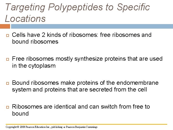 Targeting Polypeptides to Specific Locations Cells have 2 kinds of ribosomes: free ribosomes and